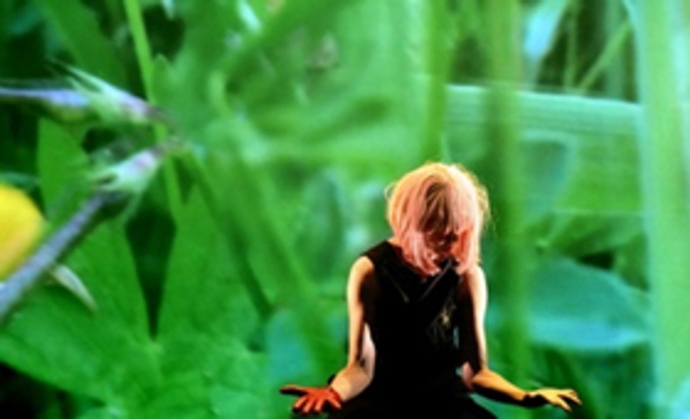 Mary Pearson Takes FOMO, MOFOS! (MOTHERF***ERS!) on UK Tour  Image