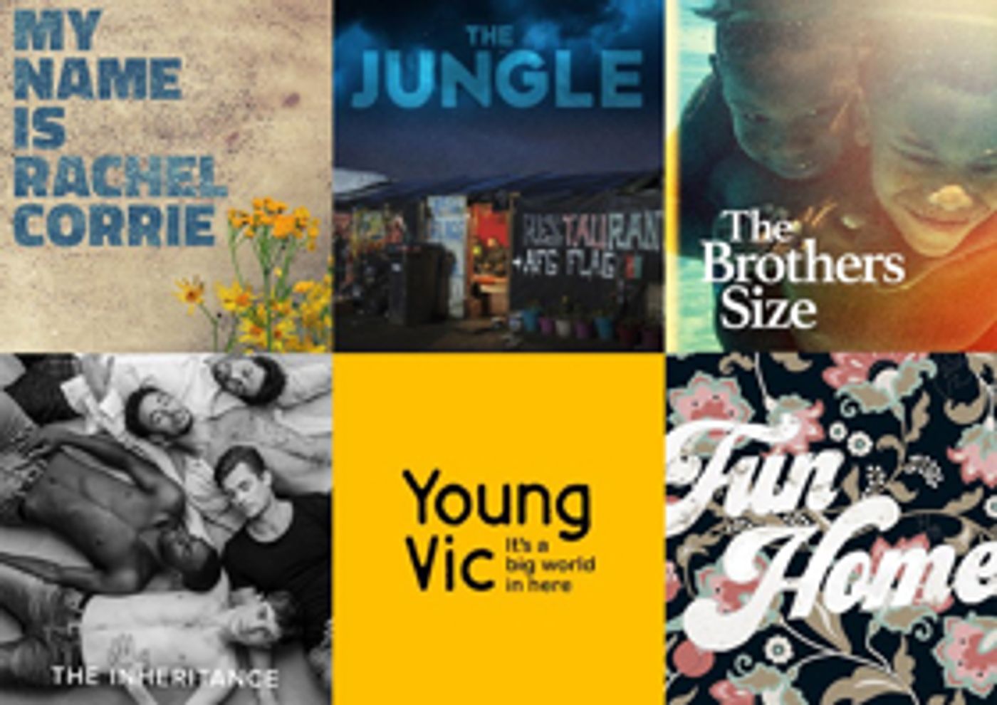 FUN HOME to Headline Young Vic's 2017-18 Season; Lineup Announced!  Image