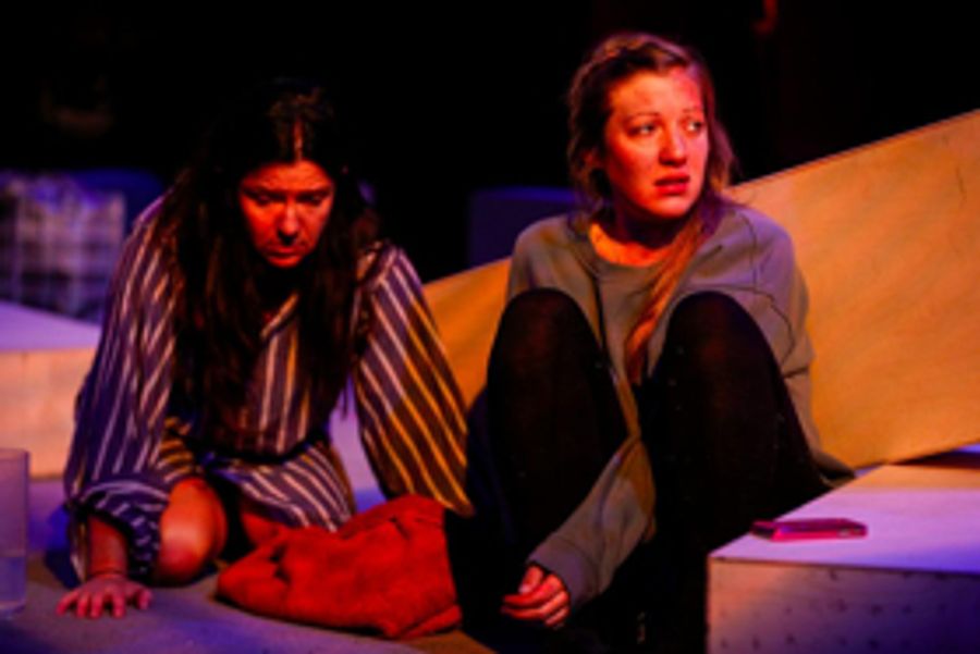 Cardboard Citizens and Shelter Scotland Forge New Relationship to Tackle Homelessness Image