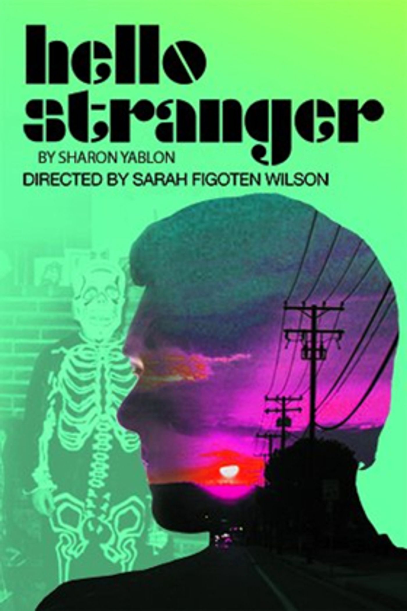 Theatre of NOTE presents World Premiere of HELLO STRANGER by Sharon Yablon  Image