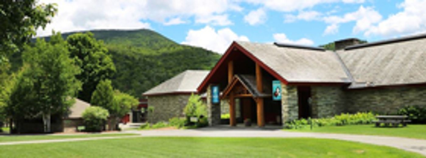 New Gallery Installation 'Life In The Adirondacks' At Adirondack Experience Provides An Interactive Exploration New Gallery Installation 'Life In The Adirondacks' At Adirondack Experience Provides An Interactive Exploration Image