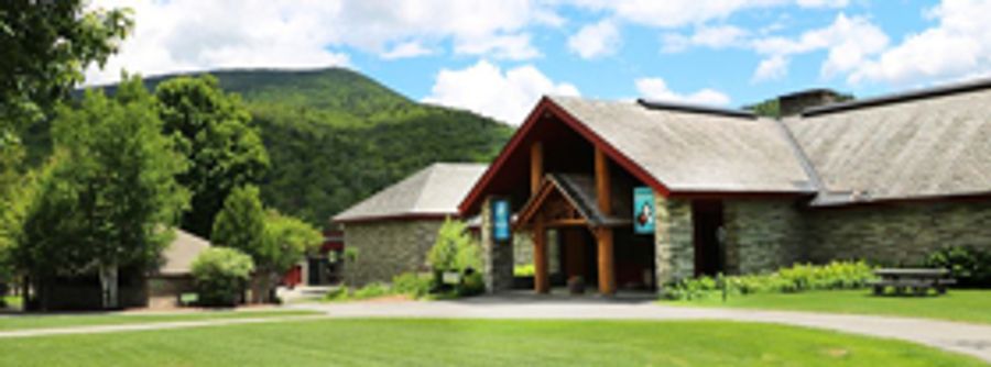 New Gallery Installation 'Life In The Adirondacks' At Adirondack Experience Provides An Interactive Exploration Image