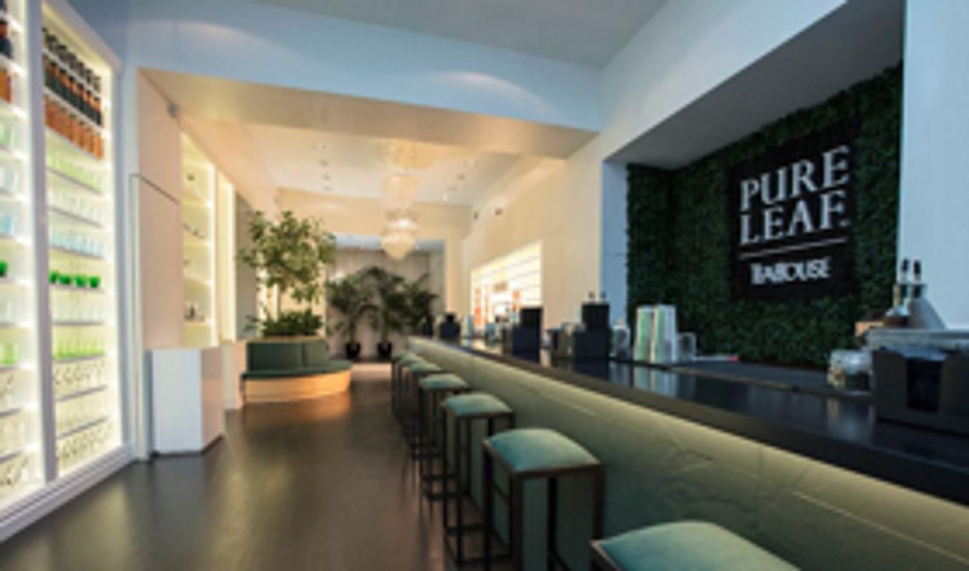 BWW Preview:  PURE LEAF TEA HOUSE in SoHo Presents a Total Tea Experience  Image