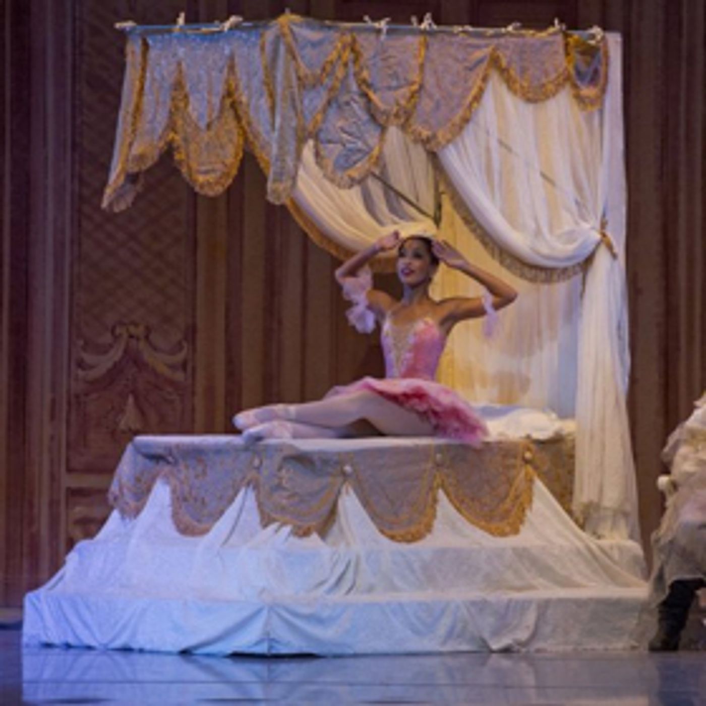 Nashville Ballet Opens New Season with THE SLEEPING BEAUTY  Image