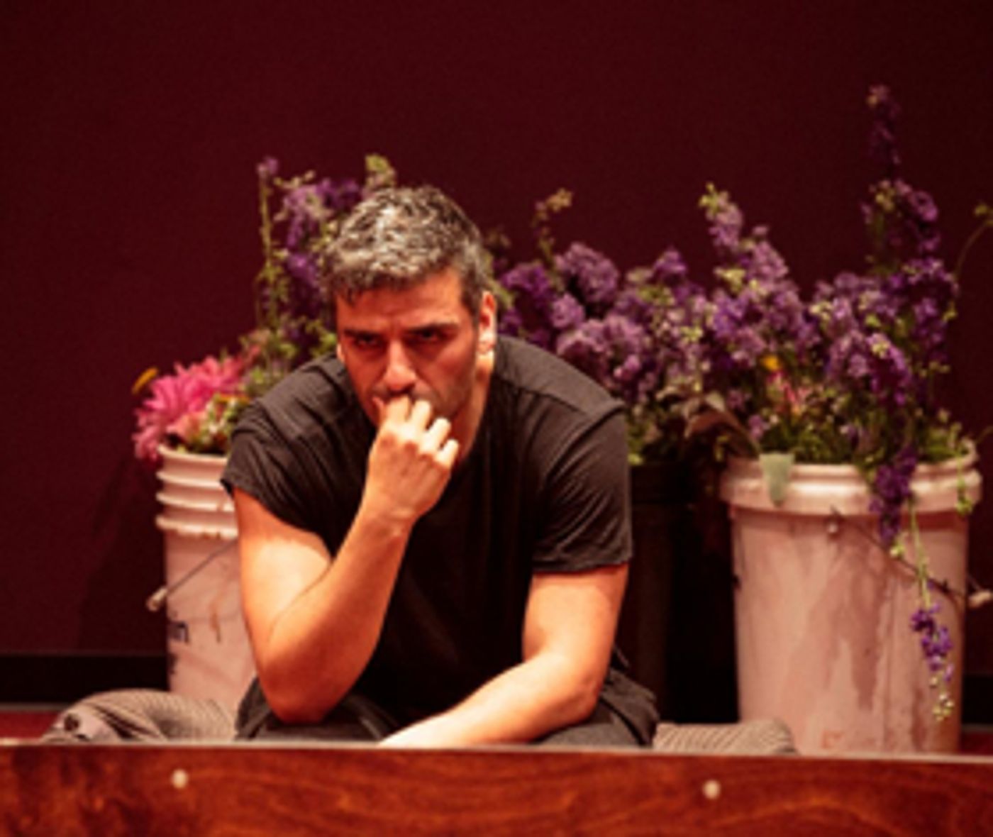 Public Theater Cancels Saturday Matinees of HAMLET for 'Welfare of Actors'  Image