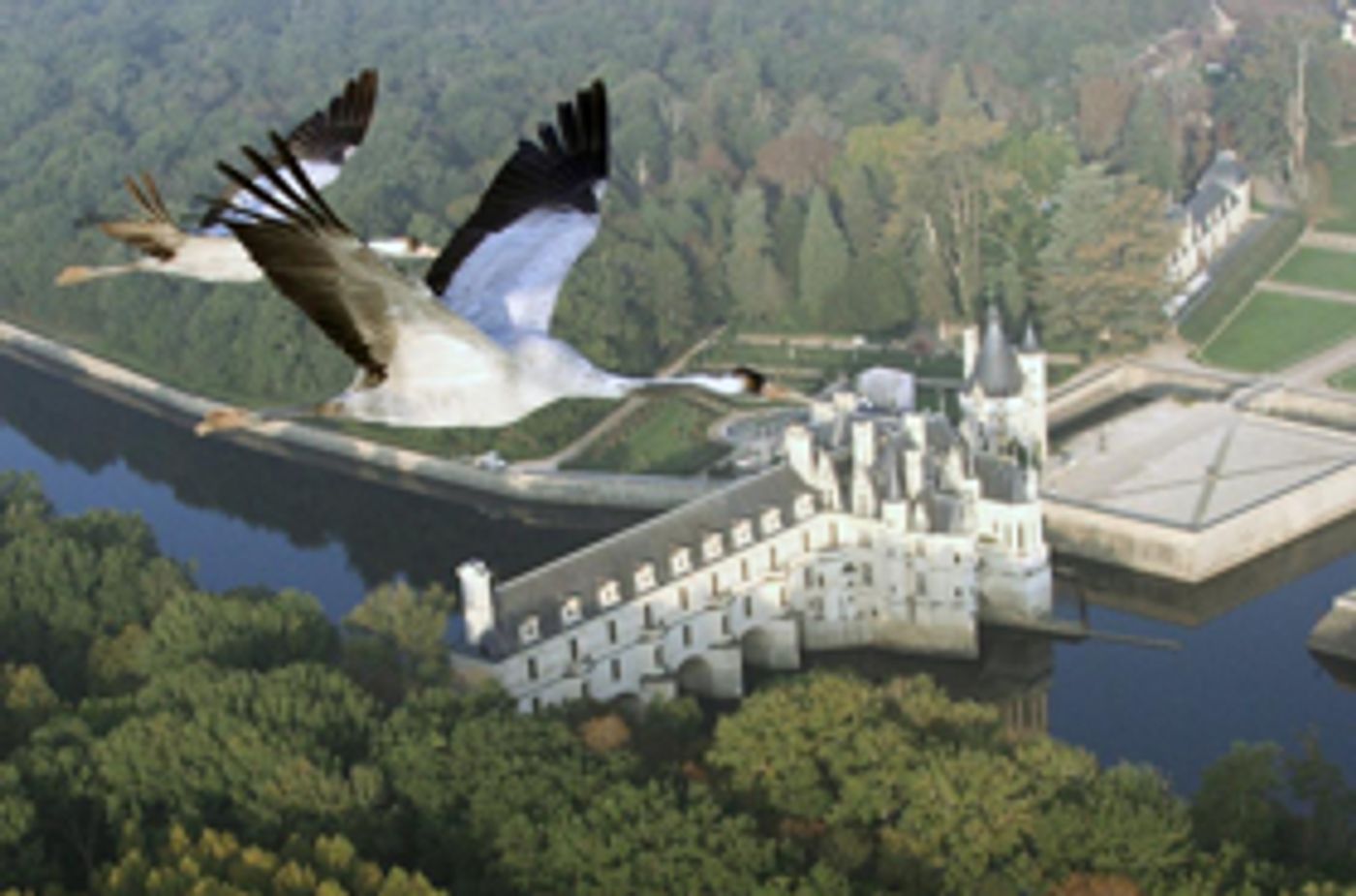 Fly Like a Bird in New Film EARTHFLIGHT, Opening Next Month at AMNH Image