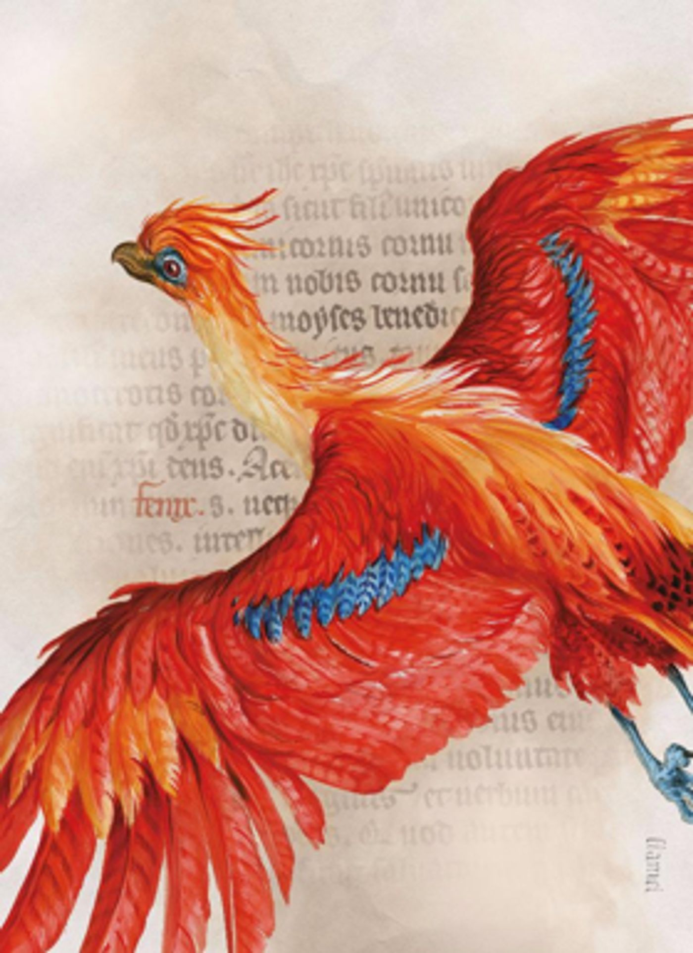 Magical New Harry Potter Exhibit to Open at the New-York Historical Society in Today18  Image