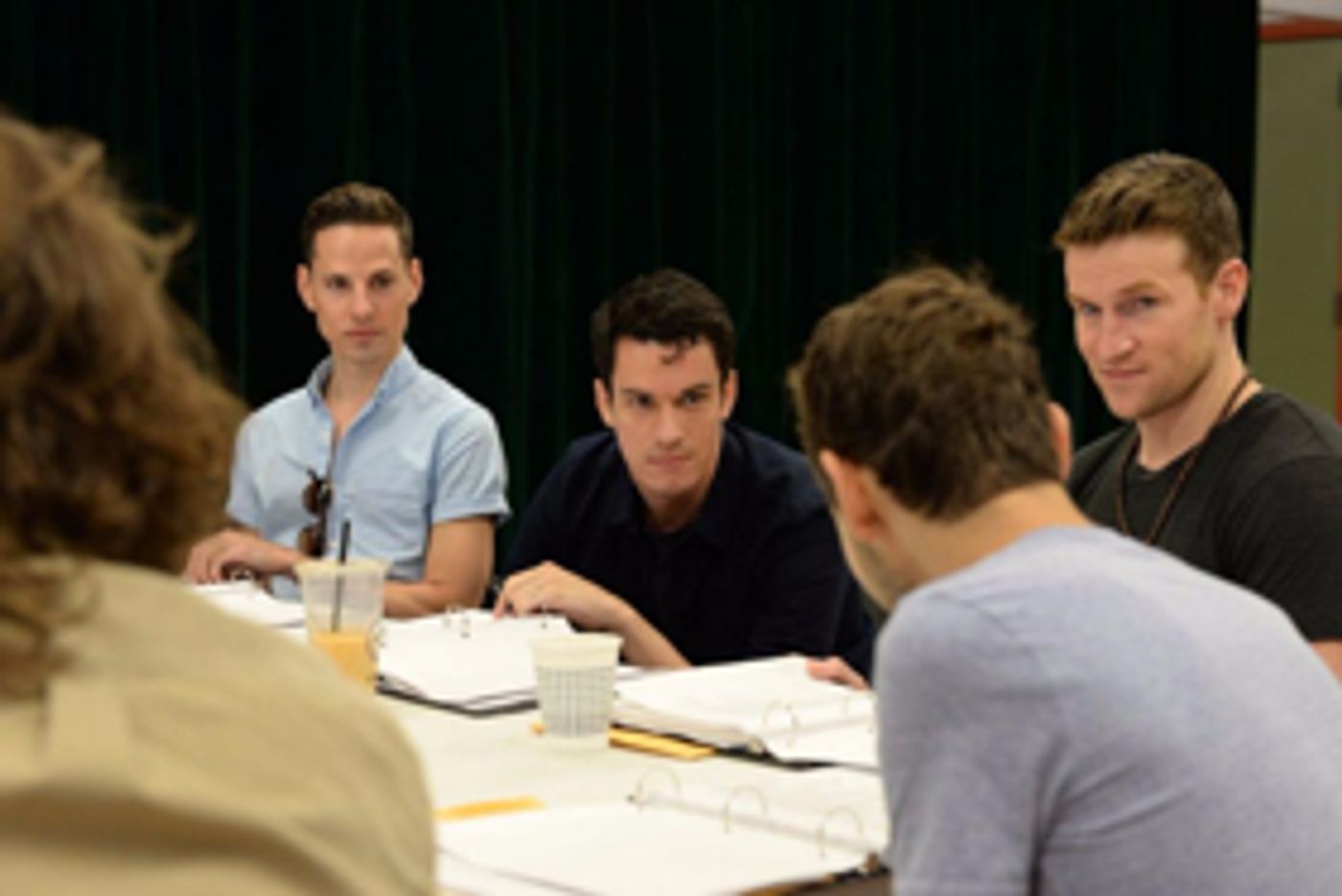 Annie Golden, Claybourne Elder and More to Star in Readings of New Musical STONEWALL: A RHAPSODY ON RESISTANCE  Image