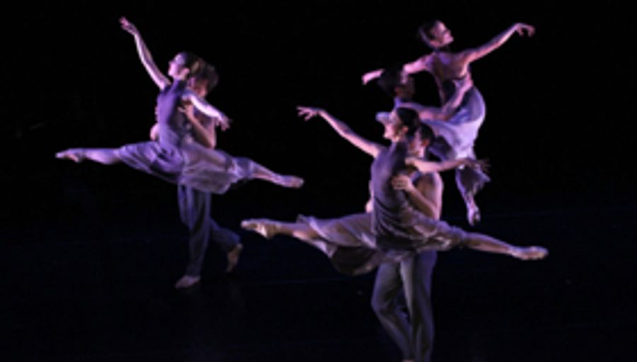American Repertory Ballet Announces Casting for Kirk Peterson's CARMEN and More Image