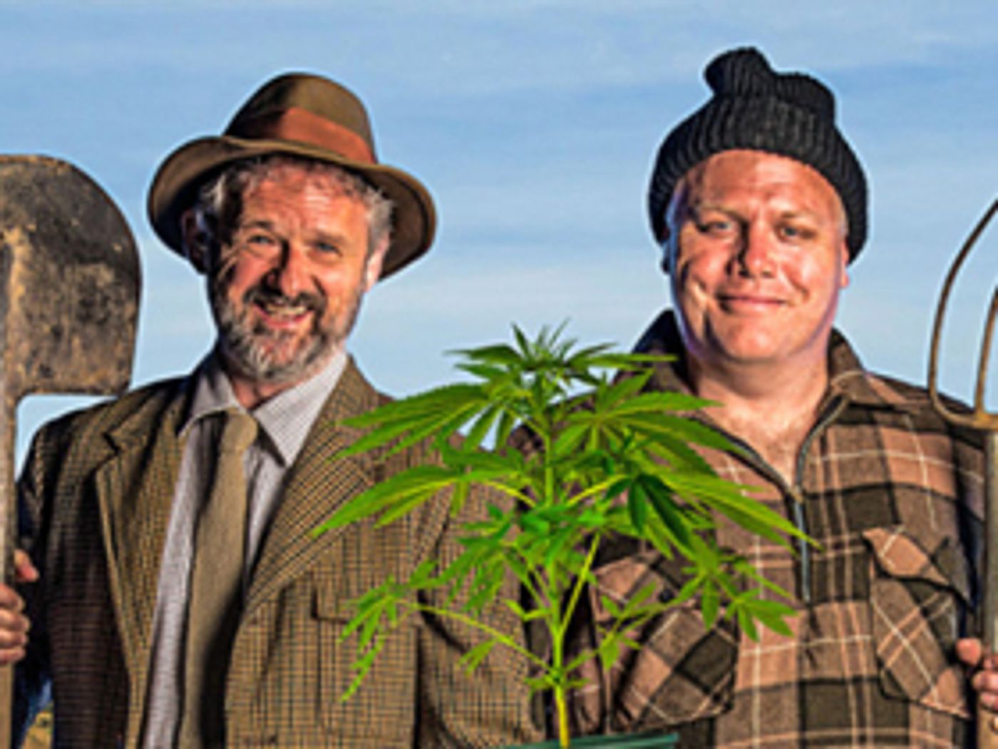 NZ Comedy WEED by Anthony McCarten Hits Circa Theatre NZ Comedy WEED by Anthony McCarten Hits Circa Theatre Image