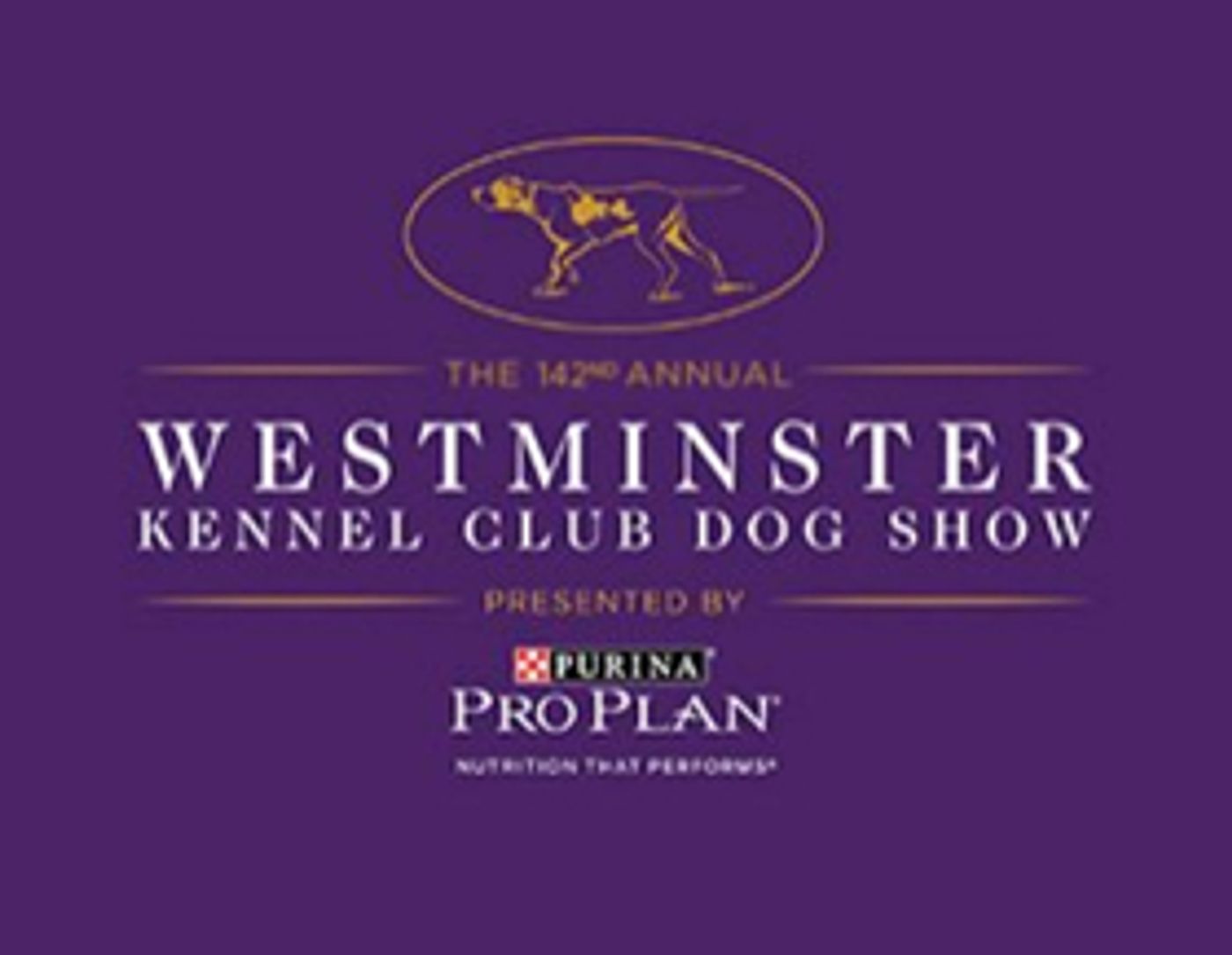 Whippets to Take Over Madison Square Garden for 125th Anniversary of First Competition at Westminster Dog Show  Image