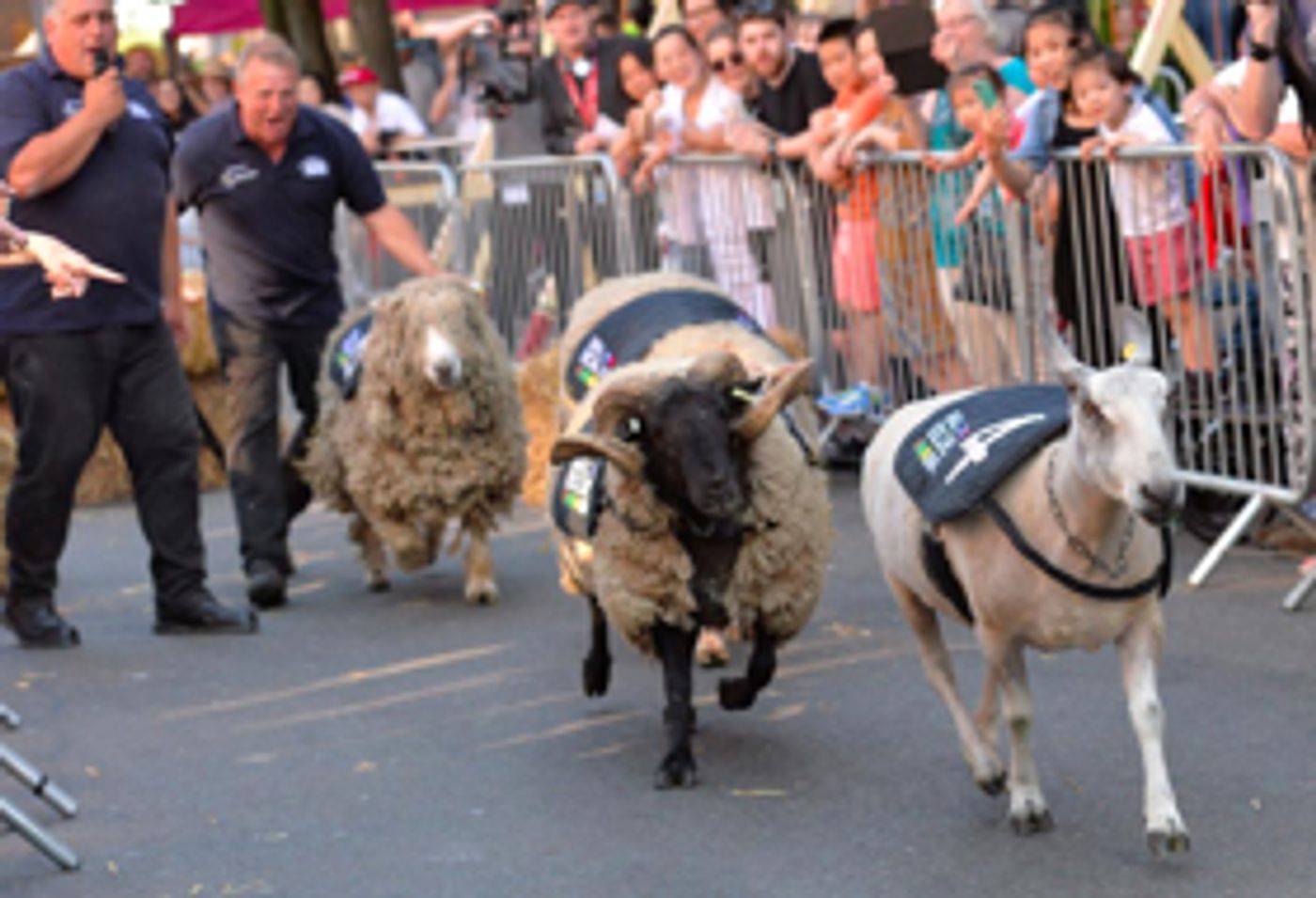 Bumper Year for Summer In Southside Festival as Countryside Fun Comes to Brum  Image