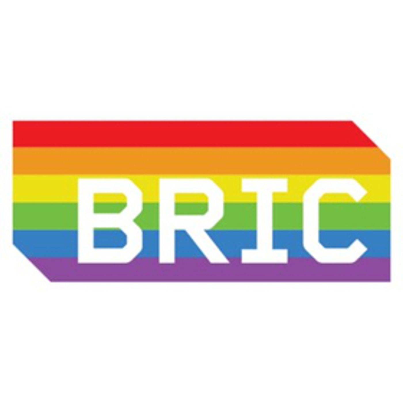 BRIC Receives $50k from the National Endowment for the Arts Image