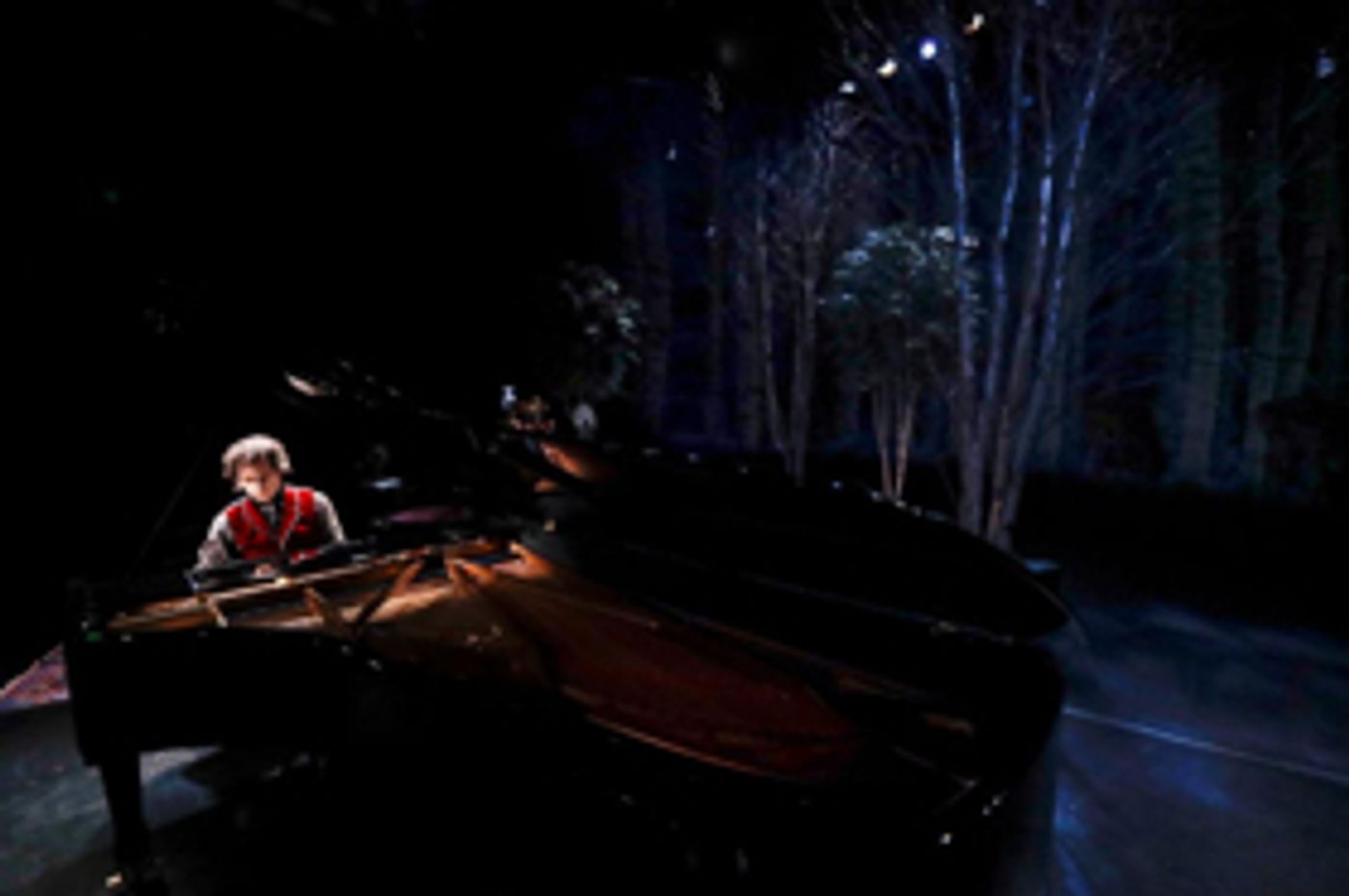 Review: Hershey Felder Dazzles Audiences as OUR GREAT TCHAIKOVSKY  Image