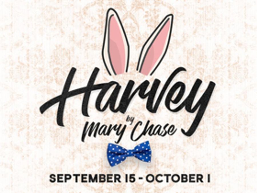 A.D. Players' HARVEY FOR HARVEY to Benefit Houstonians' Spirit and Relief Efforts Image