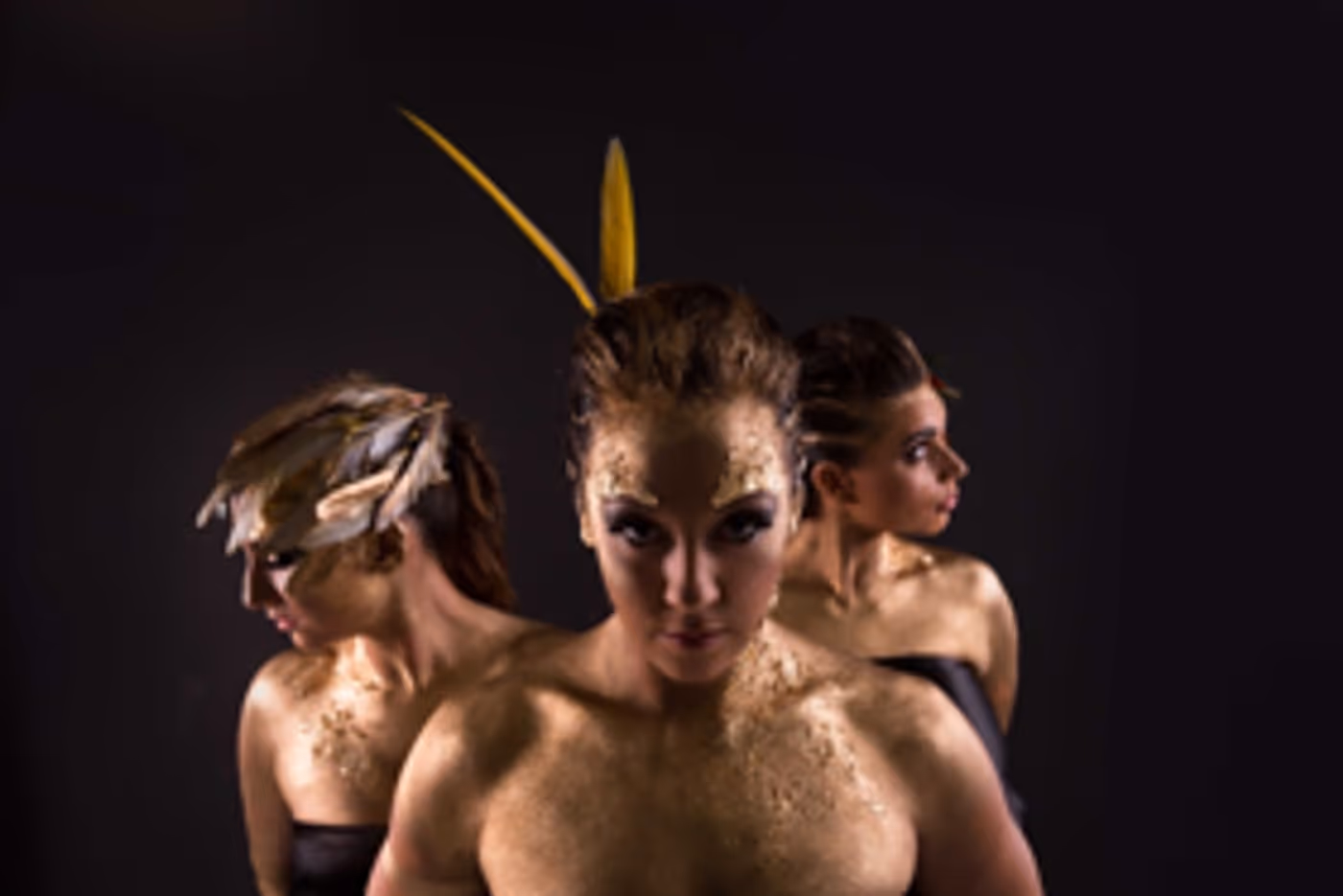 FEATHERED AND FIERCE Premieres at Sydney Fringe Festival 2017 Image