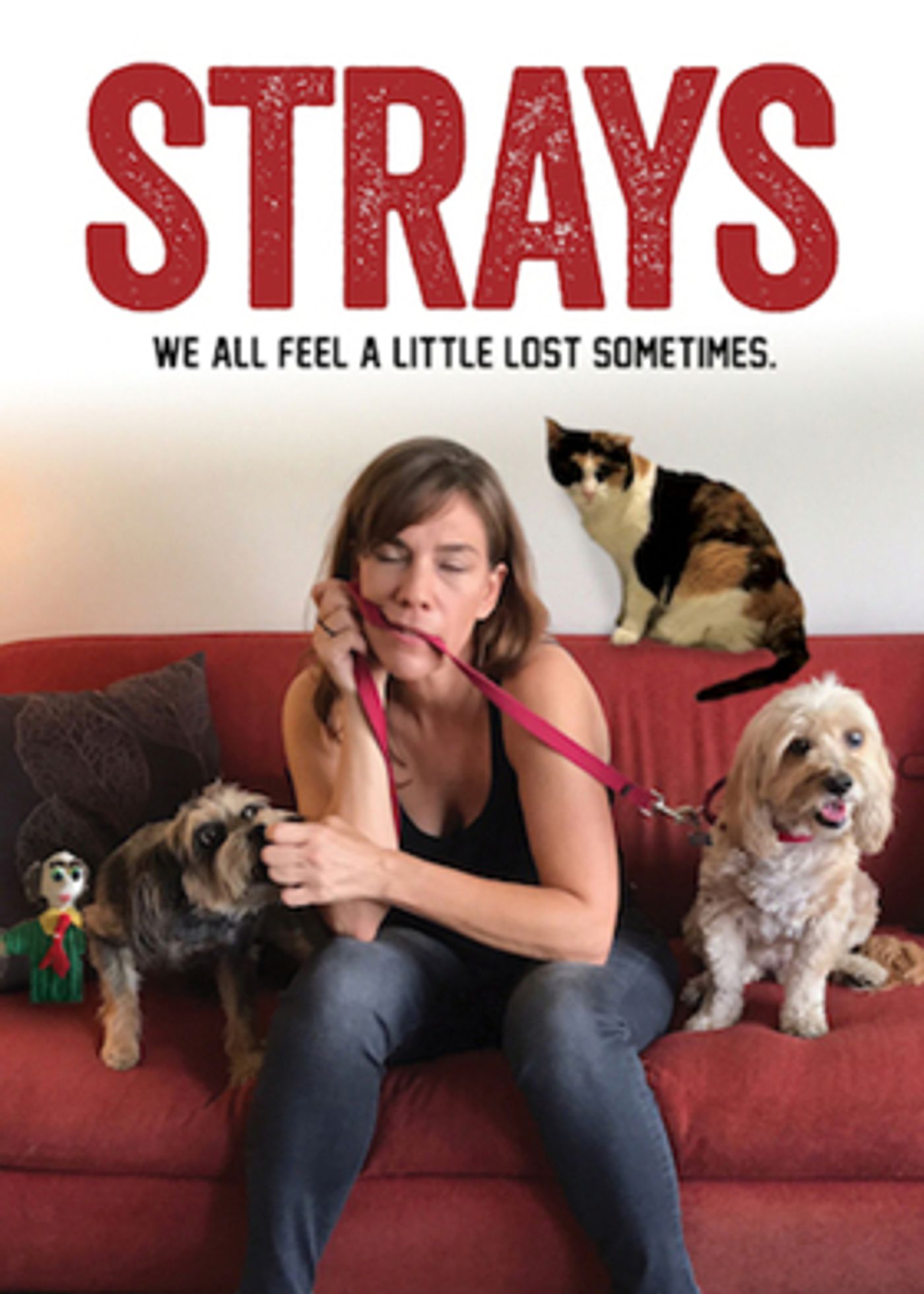 World Premiere of STRAYS Sets Opening at Secret Rose World Premiere of STRAYS Sets Opening at Secret Rose Image