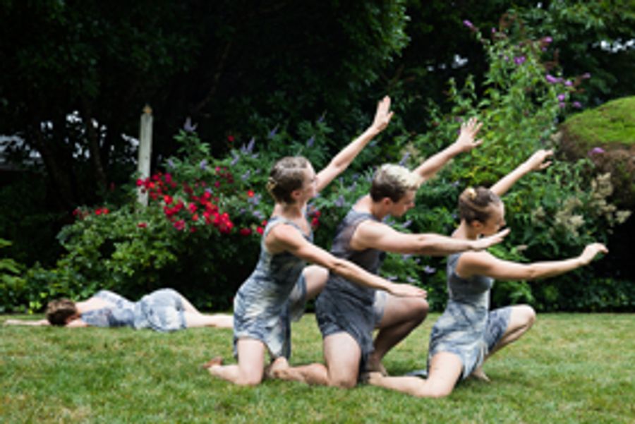 Amanda Selwyn Dance Theatre Performed to a Sold-Out Audience with GREEN AFTERNOON V Image