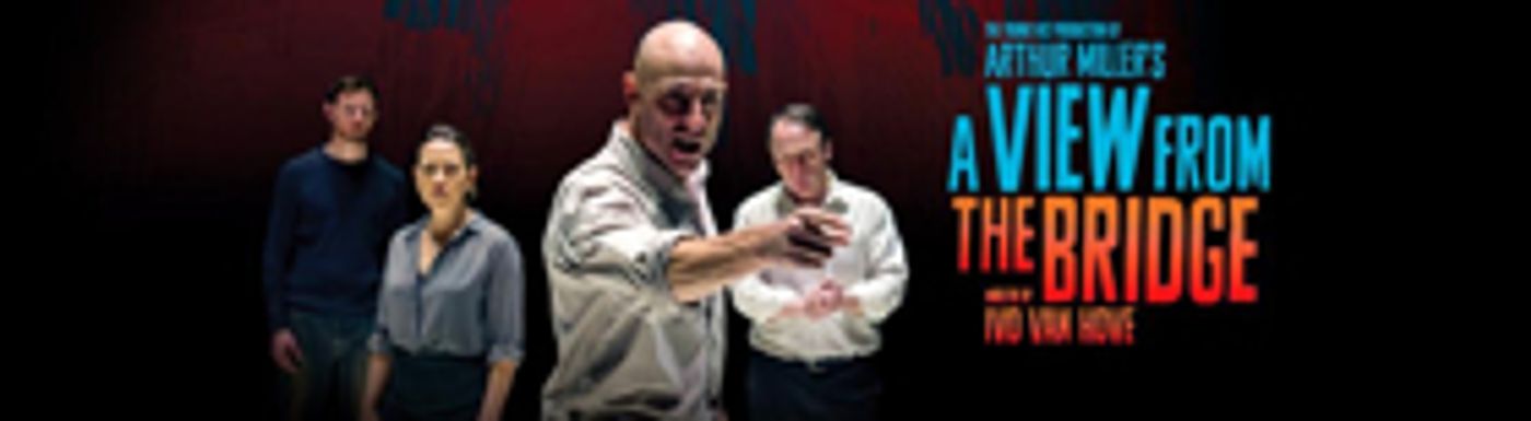 Casting Set for Ivo van Hove's A VIEW FROM THE BRIDGE, YASMINA'S NECKLACE at Goodman Theatre  Image