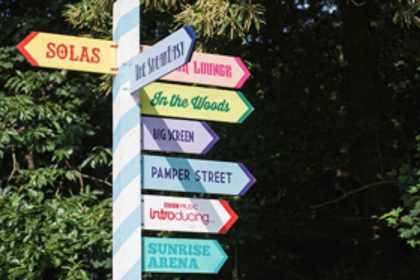 Festival Watch: A Weekend at Latitude 2017  Image