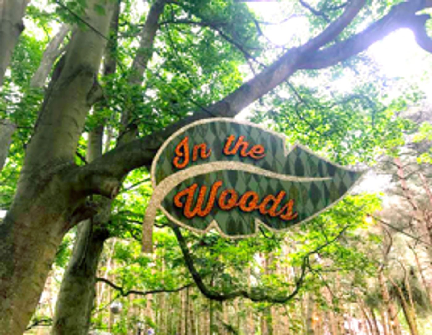 Festival Watch: A Weekend at Latitude 2017  Image