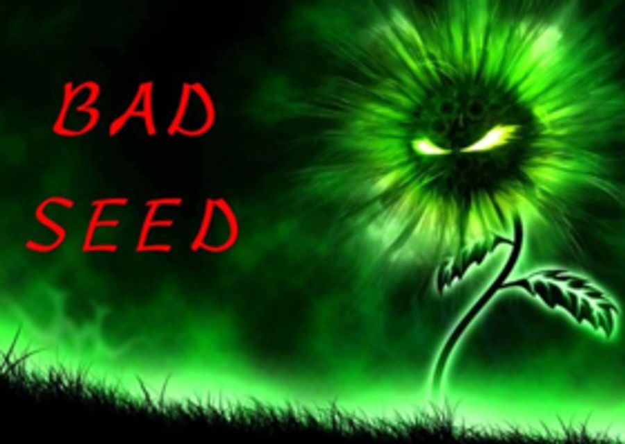 Amelia Musical Playhouse Presents THE BAD SEED Image