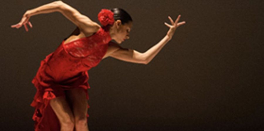 Ballet Hispanico to Offer Adult Classes in Caribbean Flow, Afro-Latin Jazz Fusion, and Salsa Image