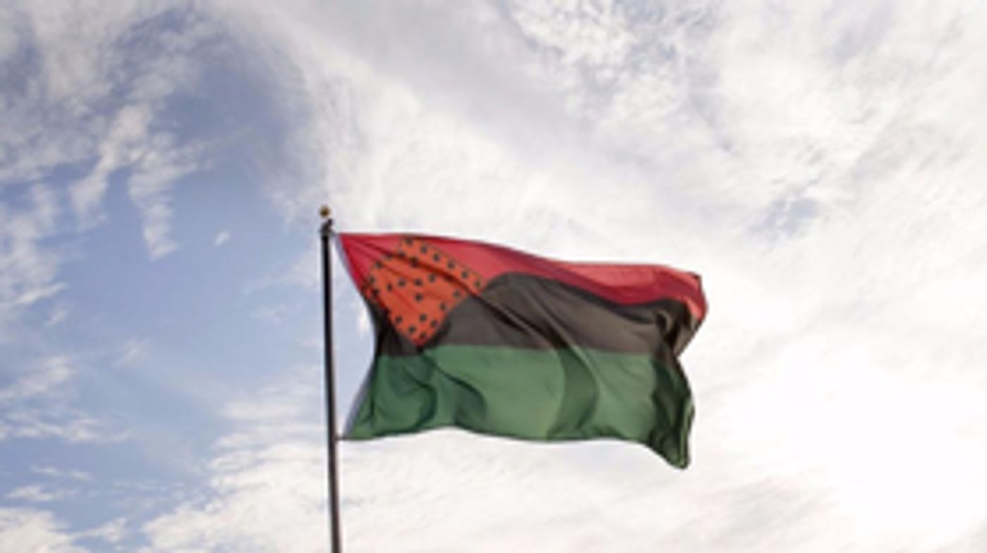 Creative Time Raises Artist Nari Ward's PLEDGES OF ALLEGIANCE Flag  Image