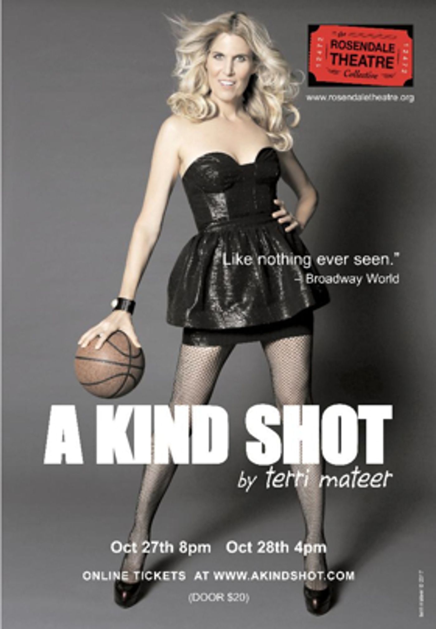 Terri Mateer to Perform A KIND SHOT at the Rosendale Theatre  Image
