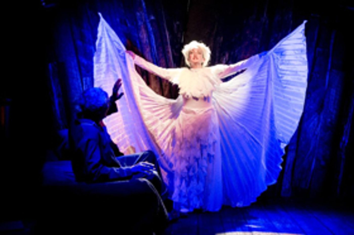 Review: STL Opera Collective Presents TESLA'S PIGEON and TO HELL AND BACK Image