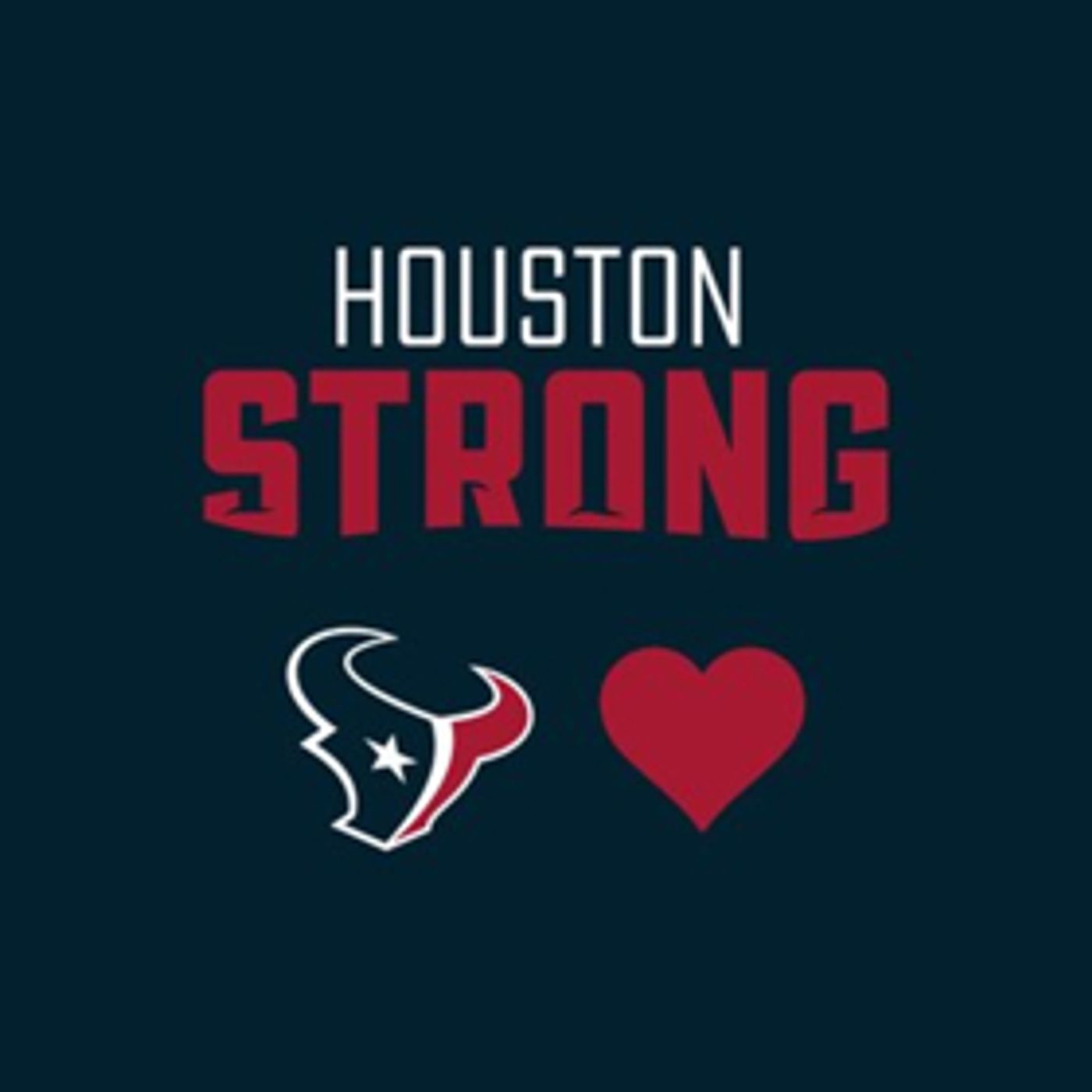 Theatre Under The Stars Star Students Troupe to Perform at Texans Game Image