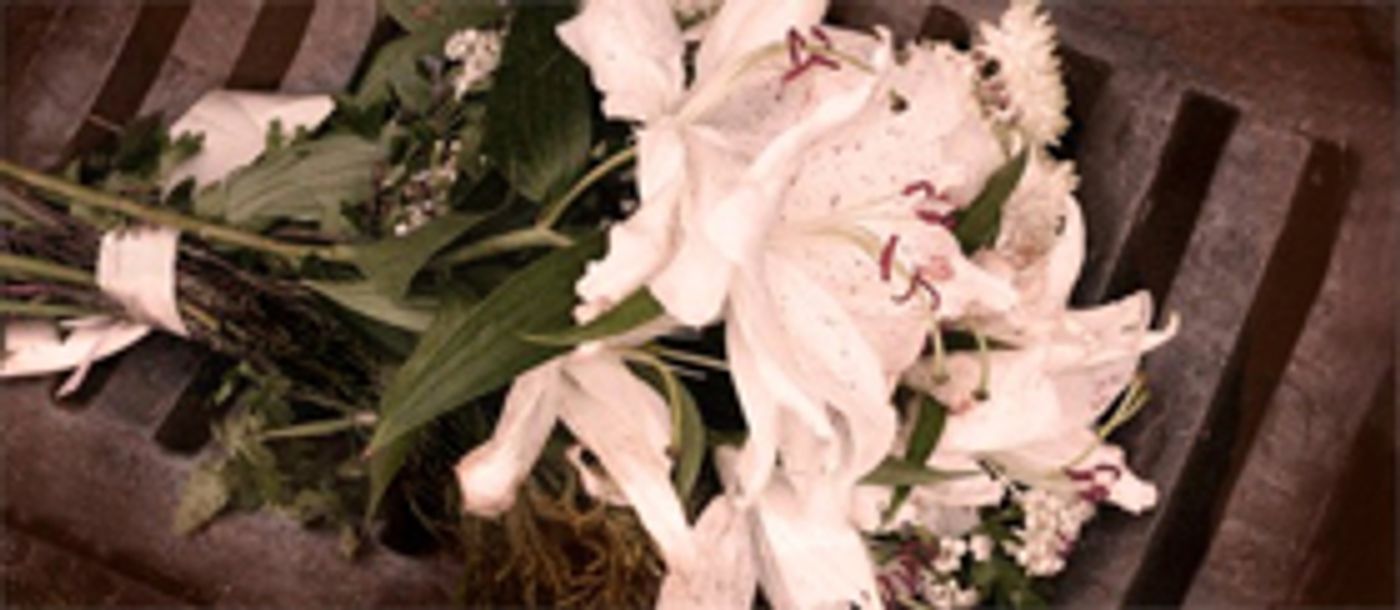 Finborough Theatre Presents Cicely Hamilton's JUST TO GET MARRIED  Image