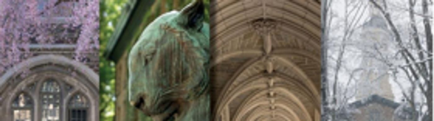 Authors to Appear at 'Discovering Princeton' at Morven Museum and Garden Image