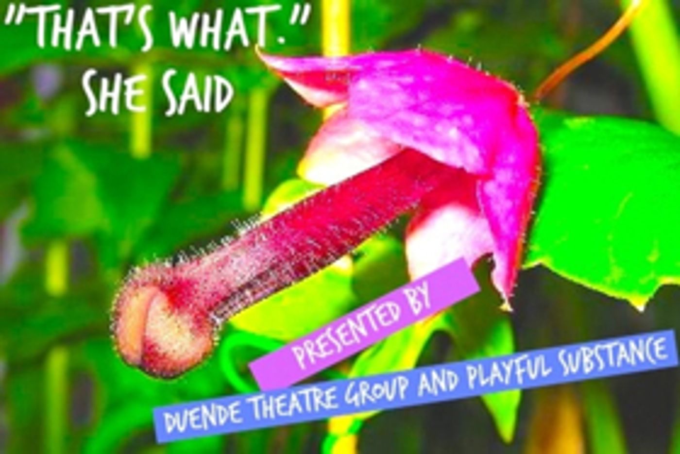 Duende Theatre Group and Playful Substance Team for 'THAT'S WHAT.' SHE SAID  Image