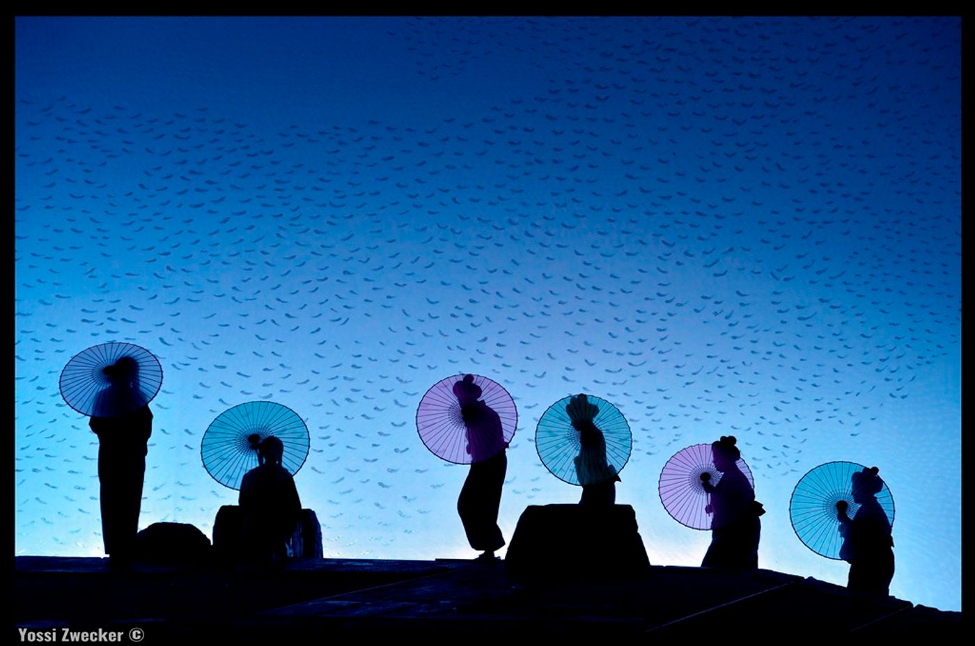 Review: MADAMA BUTTERFLY at The Israeli Opera  Image