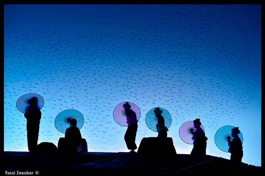 Review: MADAMA BUTTERFLY at The Israeli Opera  Image