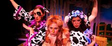 Flash: First Look at CLICK CLACK MOO: COWS THAT TYPE at Main Street Theater