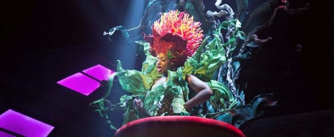 Photo Flash: First Look LITTLE SHOP OF HORRORS at Fulton Theatre Photos