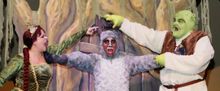 BWW Mini Blog: Woodlawn Theatre - The View From Fiona's Tower: Final Entry