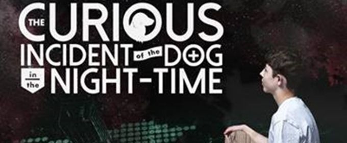 VIDEO: Watch Mickey Rowe, First Autistic Actor To Take The Lead In THE CURIOUS… Video