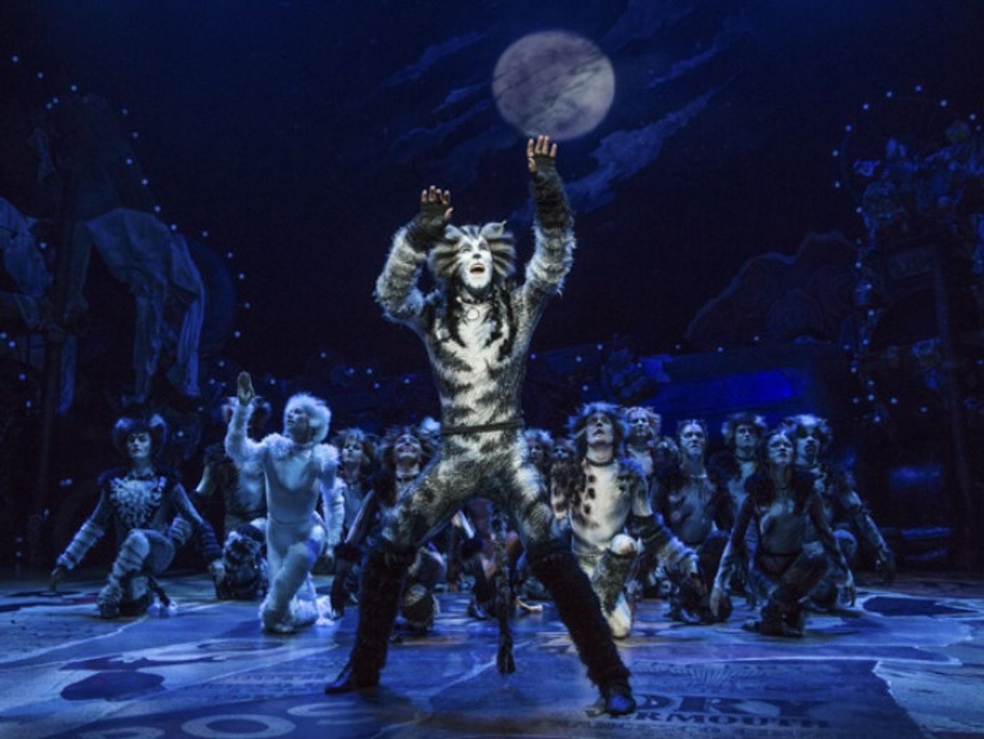 CATS Dances Into Stockholm This Fall! CATS Dances Into Stockholm This Fall! Image