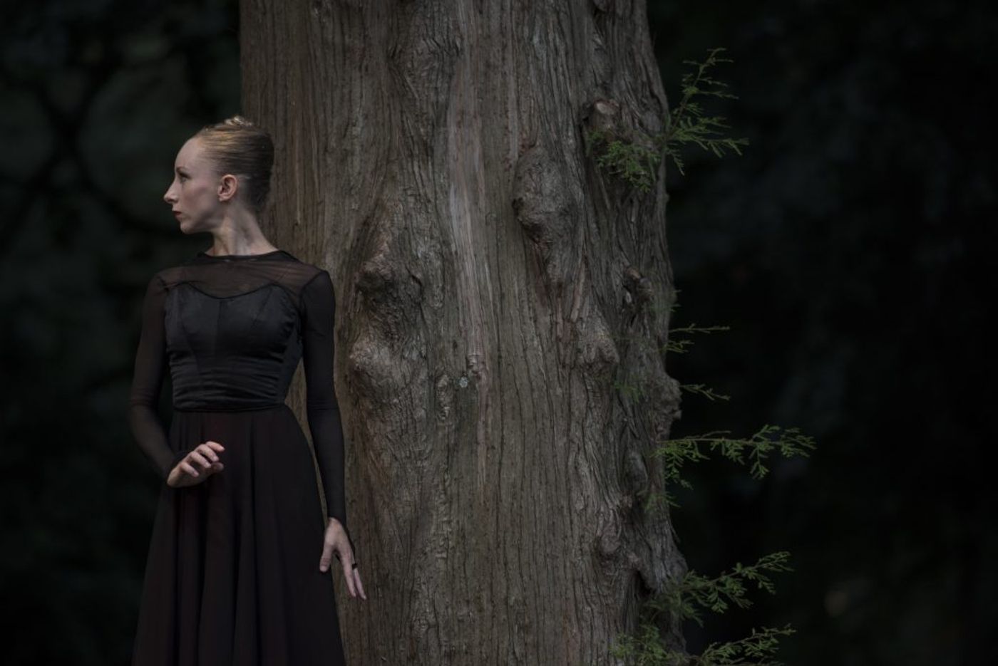 Review: LADY LEAR at Louisville Ballet Review: LADY LEAR at Louisville Ballet Image