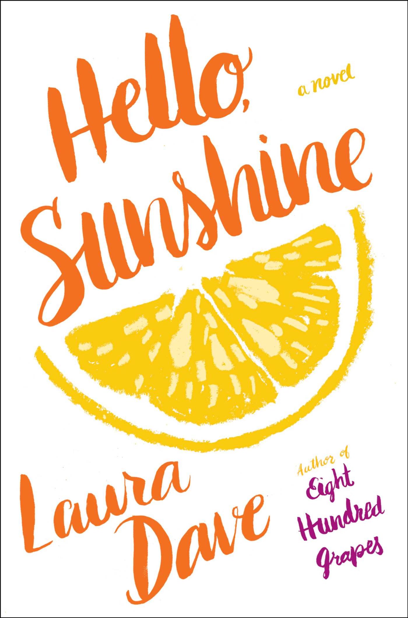 Review: HELLO, SUNSHINE by Laura Dave  Image