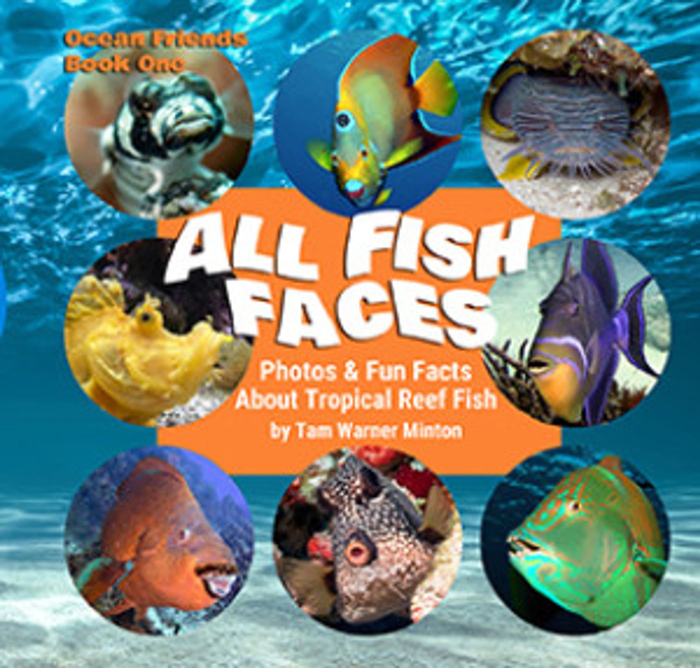 Tam Warner Minton Unveils 'ALL FISH FACES' Book About Tropical Reef Fish Image
