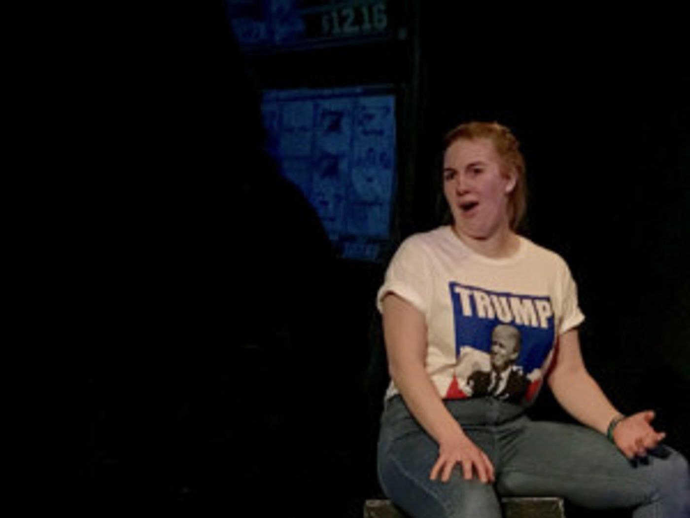 Documentary Inspired TRUMP RALLY to Open at the United Solo Theatre Festival  Image