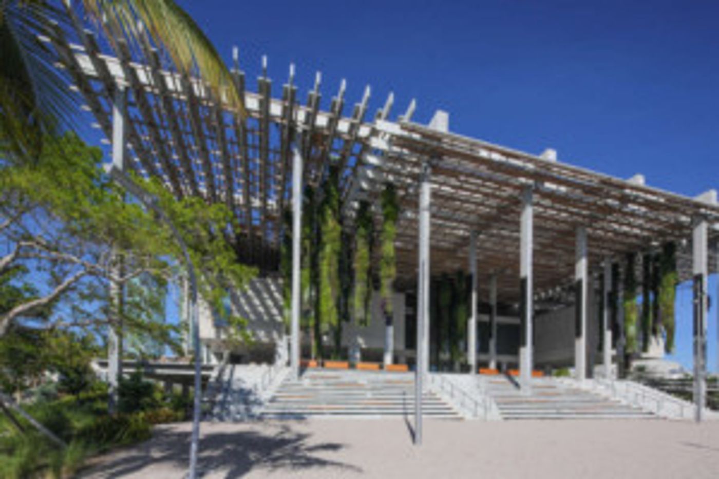 New Art Dealers Alliance and Perez Art Museum Miami Announce Acquisition Gift  Image