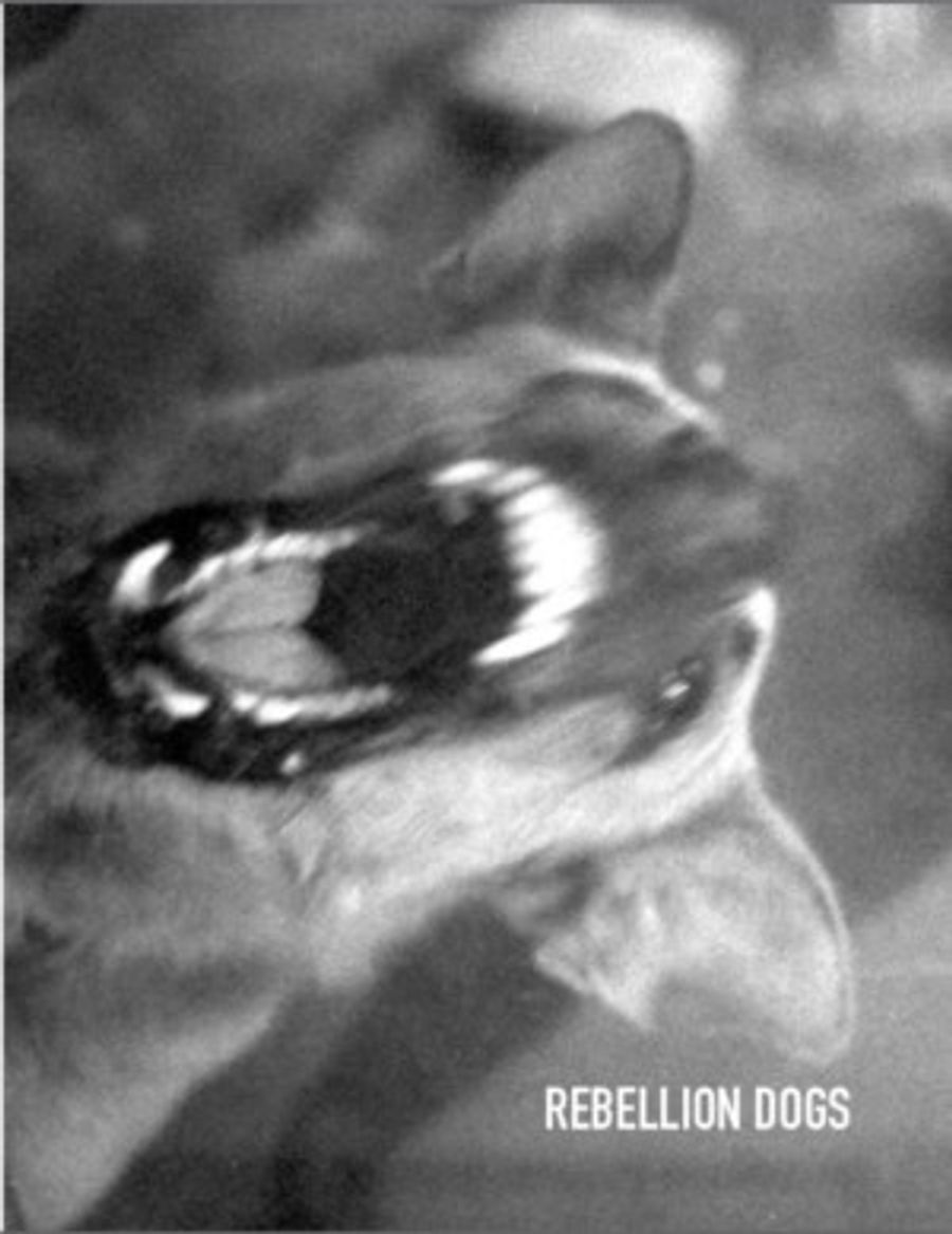 REBELLION DOGS Returns to the Stage Tonight at BAX/Brooklyn Arts Exchange Image