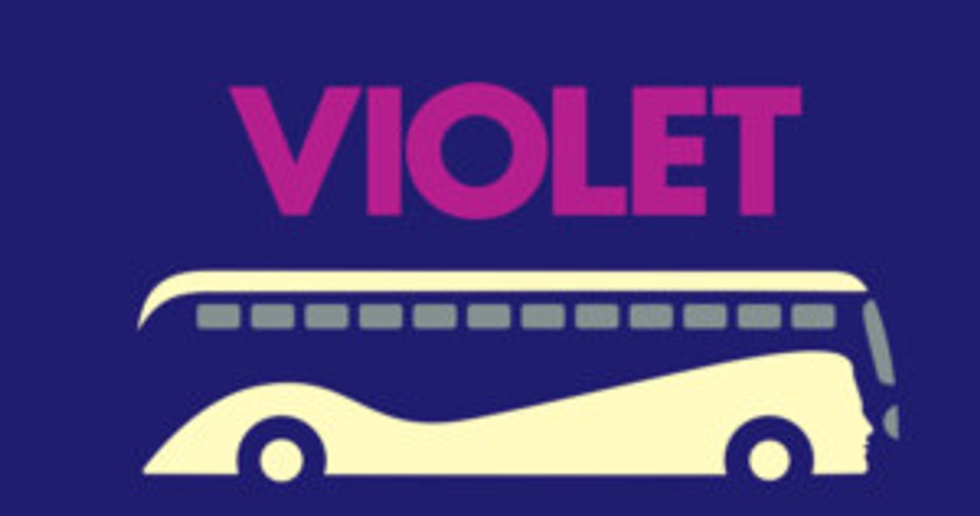The Long Island Musical Theatre Festival Presents VIOLET  Image
