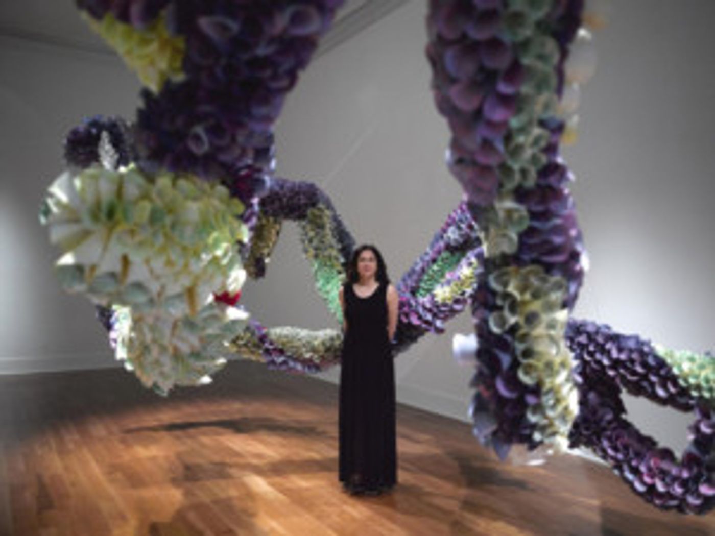 Art Center Sarasota Announces 2017-18 Season  Image