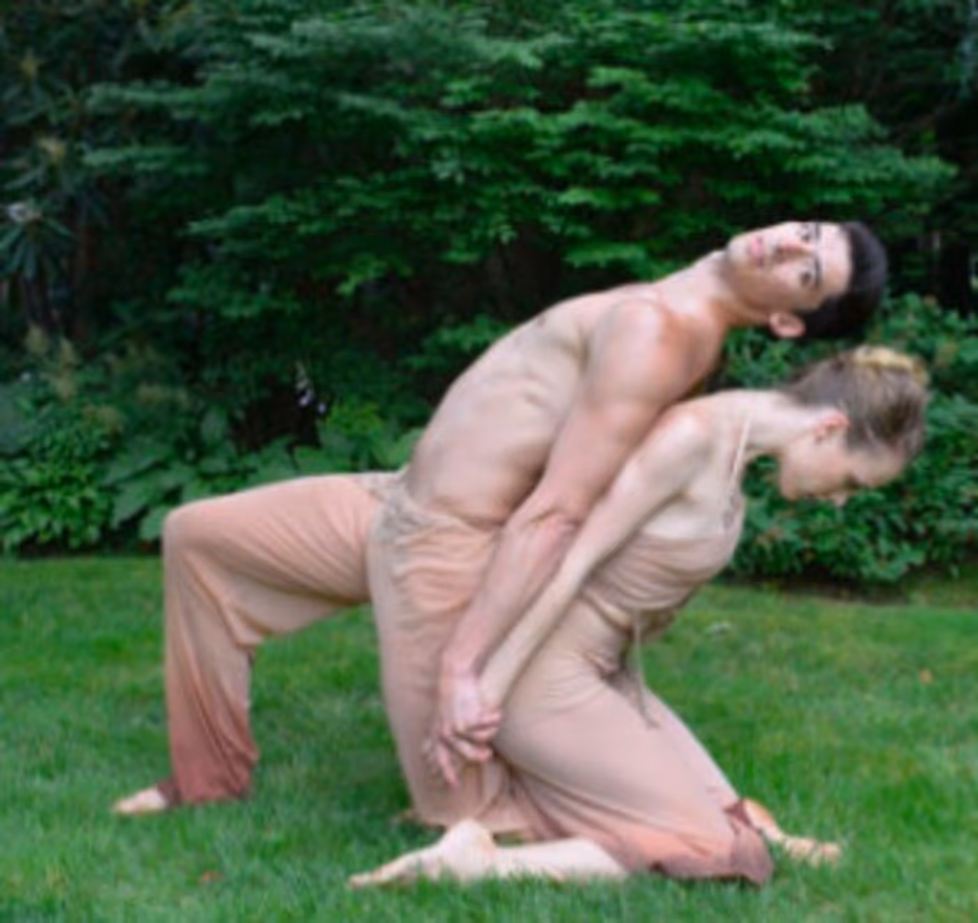 Amanda Selwyn Dance Theatre to Present Interactive Installation GREEN AFTERNOON V Image